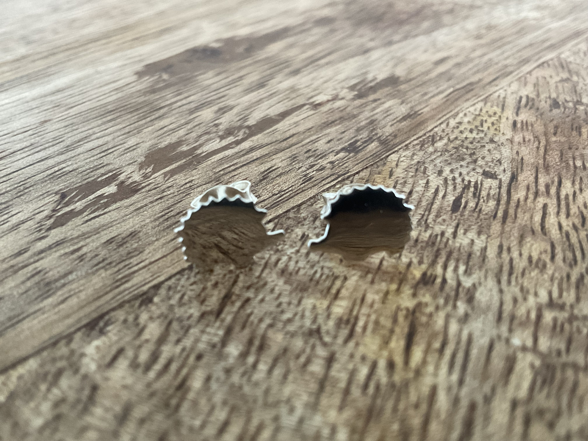 Hedgehog Stud Earrings - Click Image to Close